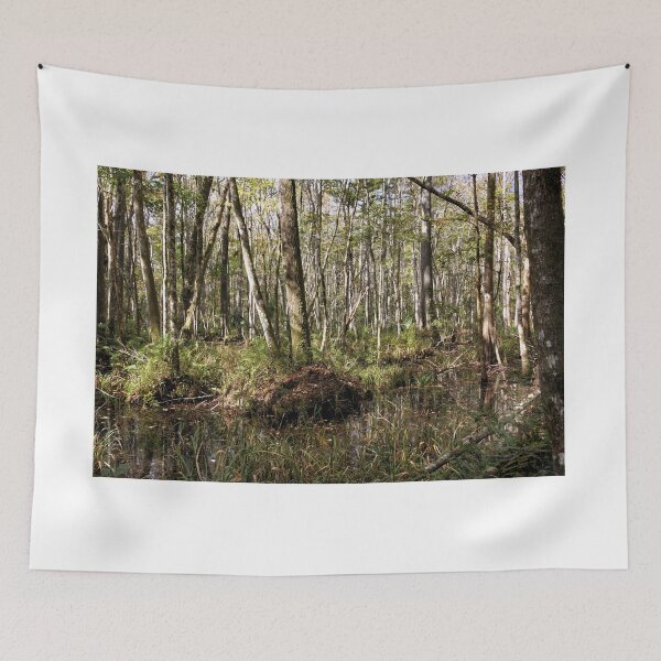 Item preview, Mixed Hardwood Forested Wetlands - Florida designed and sold by jtrommer.