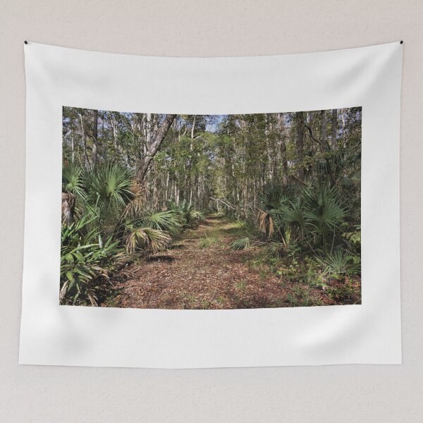 Item preview, Along A Florida Hiking Trail1 designed and sold by jtrommer.
