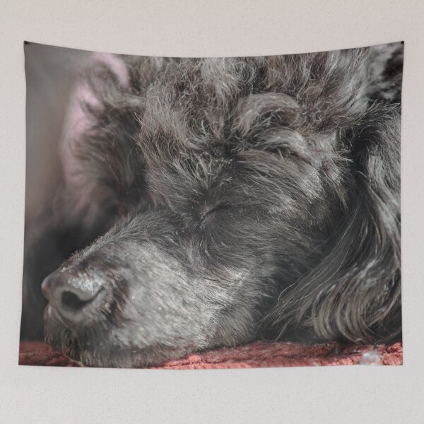 Item preview, Poodle toy   designed and sold by KensLensDesigns.