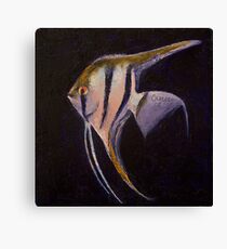 Angelfish Canvas Print