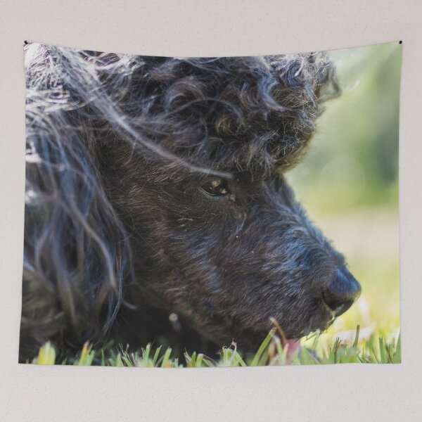 Item preview,  Poodle, Toy 4 designed and sold by KensLensDesigns.