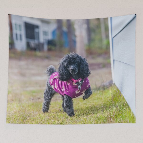 Item preview,  Poodle, Toy 3 designed and sold by KensLensDesigns.