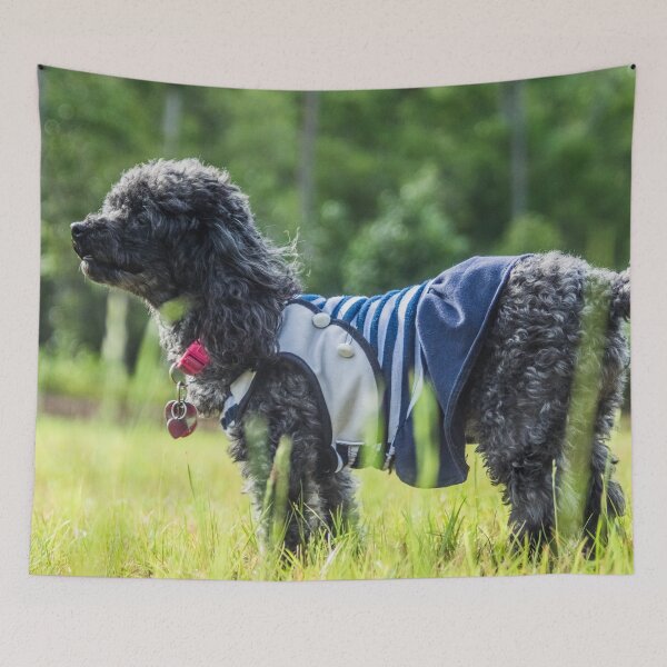 Item preview, Poodle 2 designed and sold by KensLensDesigns.