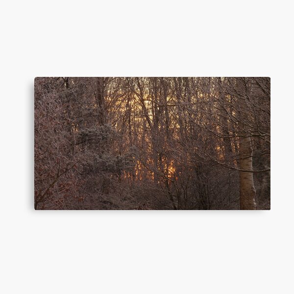 Item preview, Sunrise through snowy trees designed and sold by DutchLumix.