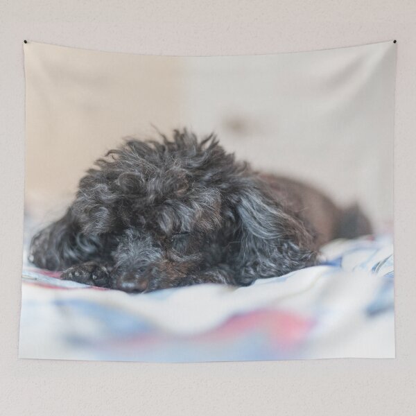 Item preview, Sleepy Princess designed and sold by KensLensDesigns.