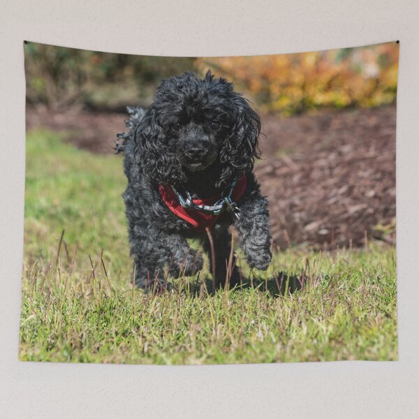 Item preview, Hunting Poodles designed and sold by KensLensDesigns.