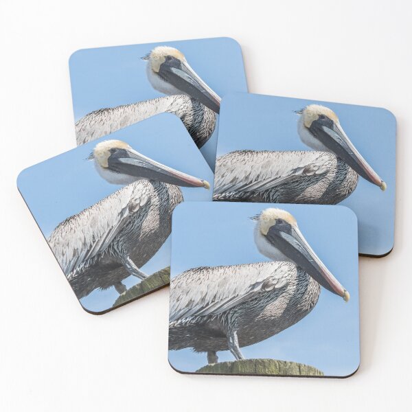 Item preview,  Brown pelican bird of prey designed and sold by KensLensDesigns.