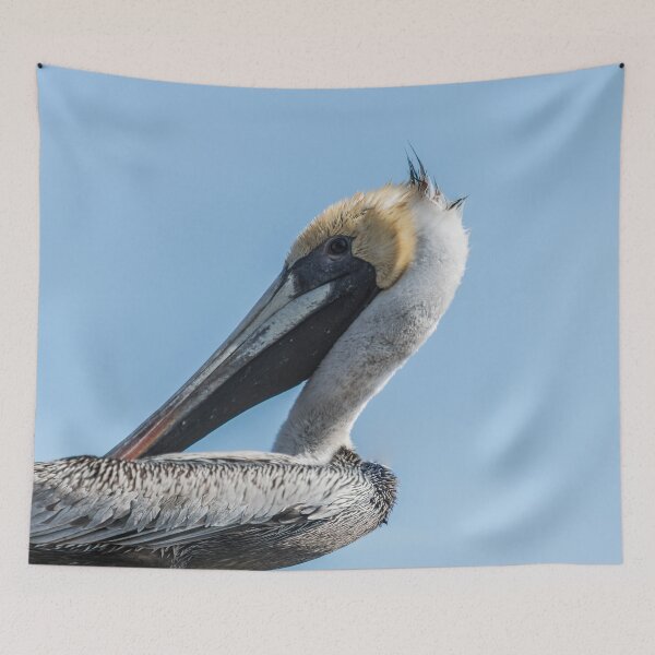 Item preview, Brown pelican in Calabash designed and sold by KensLensDesigns.