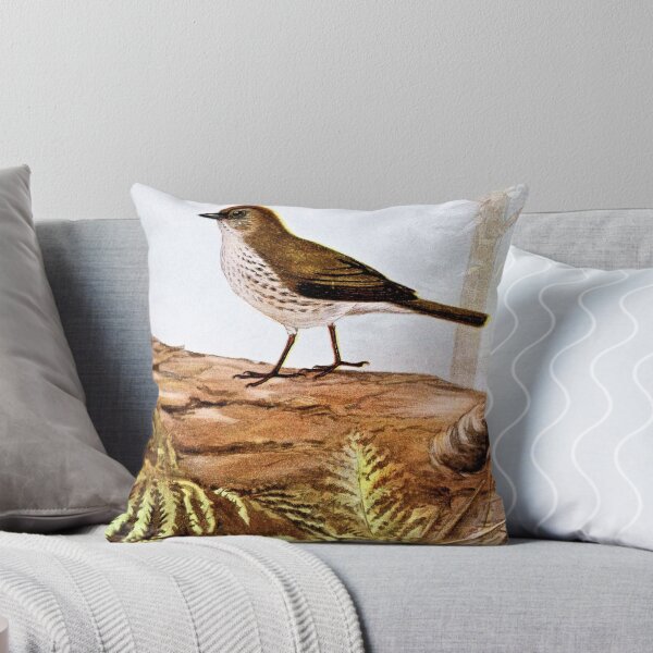 Item preview, Ovenbird Vintage Bird Art designed and sold by goldenmenagerie.