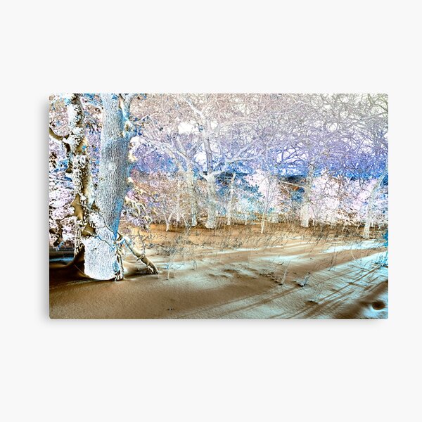 Item preview, Early Morning Solarization designed and sold by Dennis Jones - CameraView.