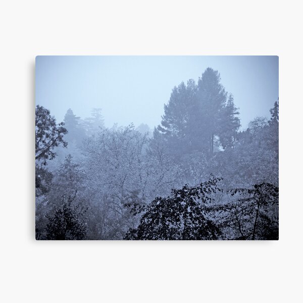 Arroyo Blues Canvas Print