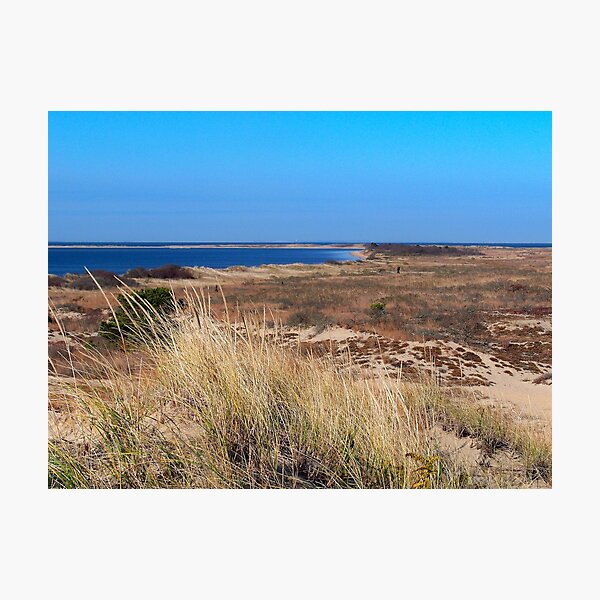 Item preview, Dunas Montauk designed and sold by Dandelion Dilluvio.