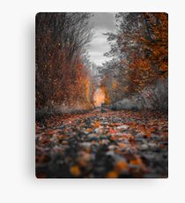 Herbstblätter Leinwanddruck