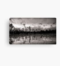 Frozen Landscape Canvas Print