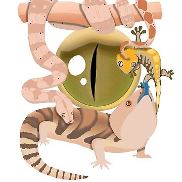 Artwork thumbnail, WARNING: LIVE REPTILES by AfroHerpkeeper