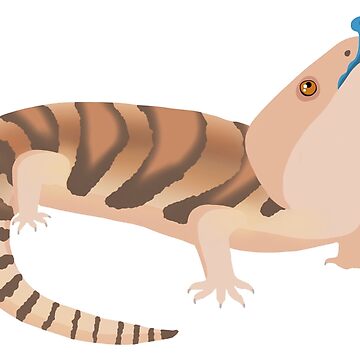 Artwork thumbnail, Northern Blue Tongue Skink by AfroHerpkeeper