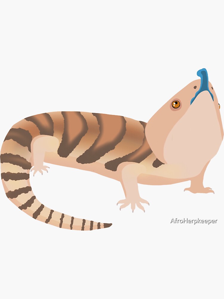 Thumbnail 3 of 3, Sticker, Northern Blue Tongue Skink designed and sold by AfroHerpkeeper.