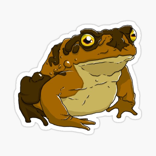 Item preview, Colorado Hypno Toad designed and sold by AfroHerpkeeper.