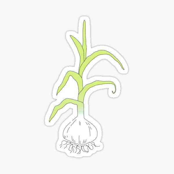 Your friend garlic Sticker