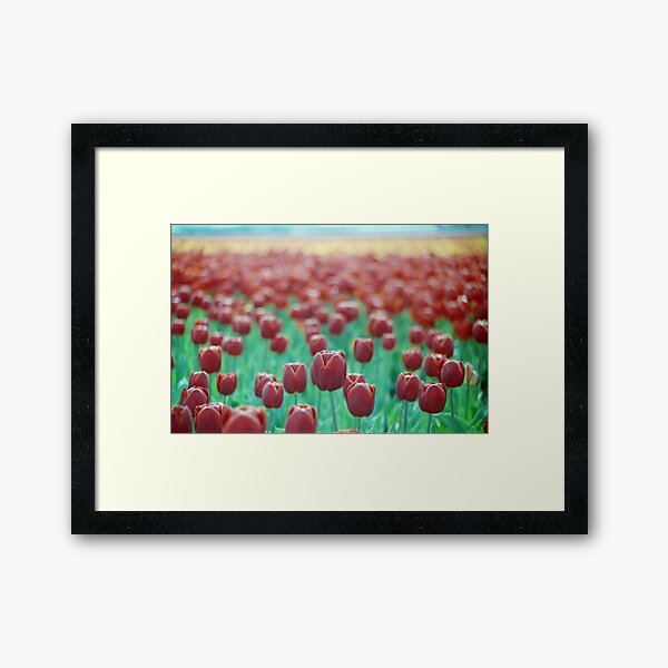 Tulips on the Horizon Framed Art Print