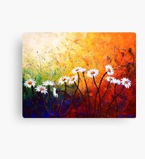 The Daisy Dance Canvas Print