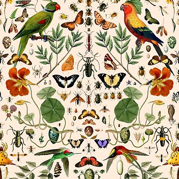 Aperçu de l'œuvre Biologie 404 de Leo Rolph