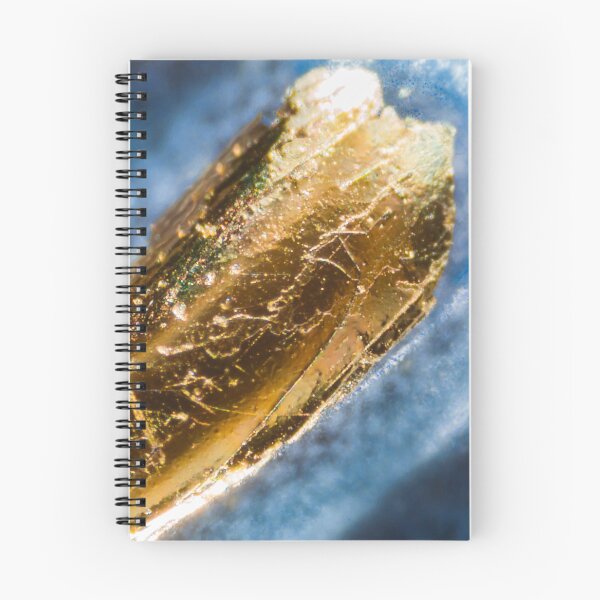 Item preview, Credit card number under the microscope designed and sold by Maor Winetrob.