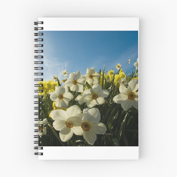 Item preview, Field of flowers designed and sold by Matthias Keysermann.