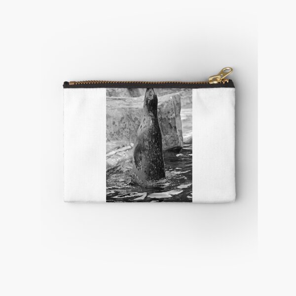 Item preview, Seal standing designed and sold by Matthias Keysermann.