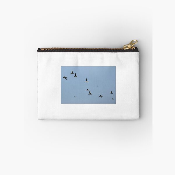 Item preview, Puffin Formation designed and sold by Matthias Keysermann.