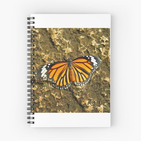 Item preview, A Common Tiger designed and sold by Matthias Keysermann.
