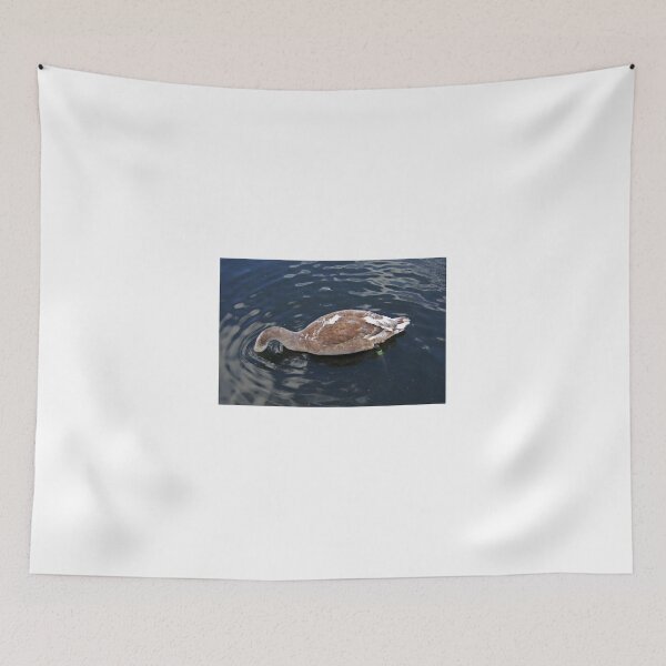 Item preview, Diving swan designed and sold by Matthias Keysermann.