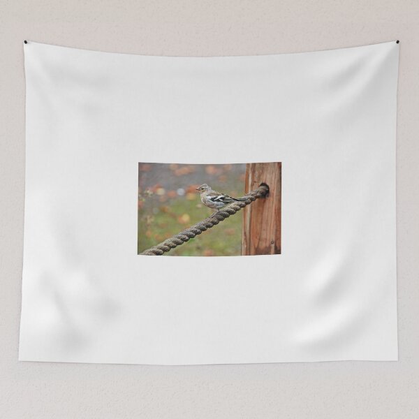 Item preview, Chaffinch on a rope designed and sold by Matthias Keysermann.