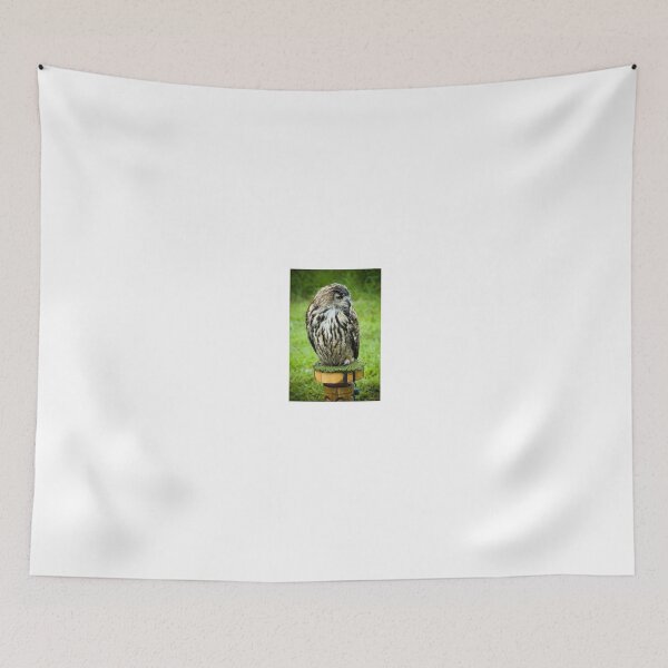 Item preview, Northern Eagle Owl designed and sold by Matthias Keysermann.