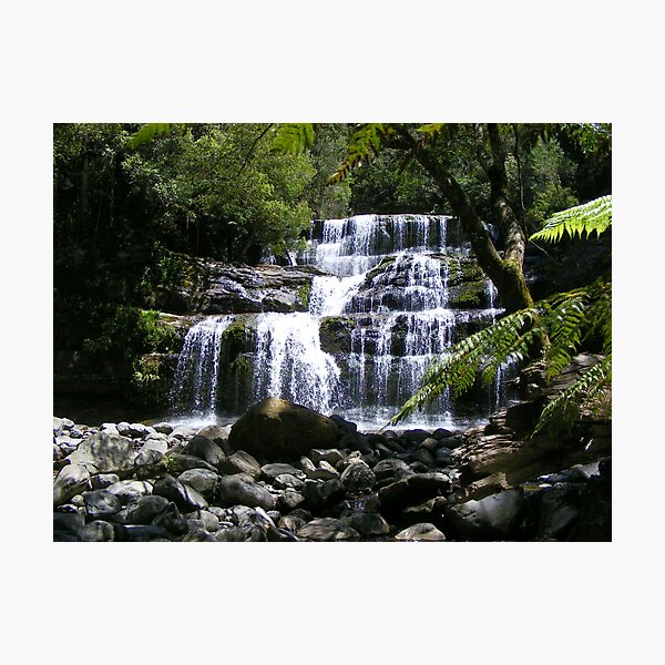 Item preview, Liffey Falls (Tasmania) - visited again  designed and sold by Gaylene Norton.