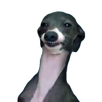 Artwork thumbnail, wyd dog um by Rad Merch