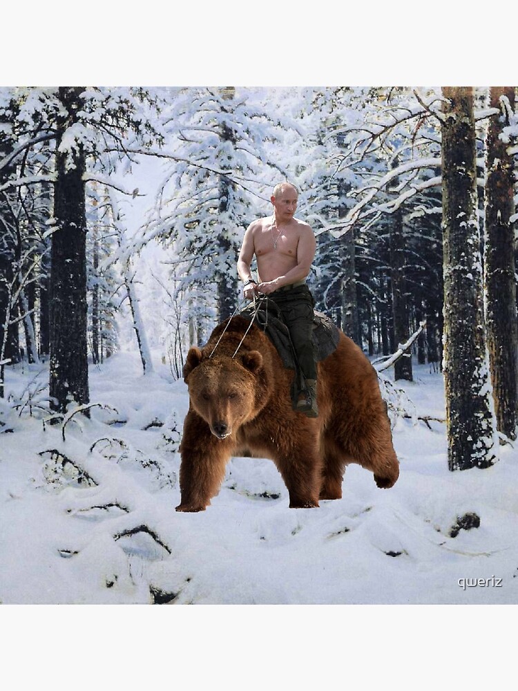 Putin on a bear by qweriz