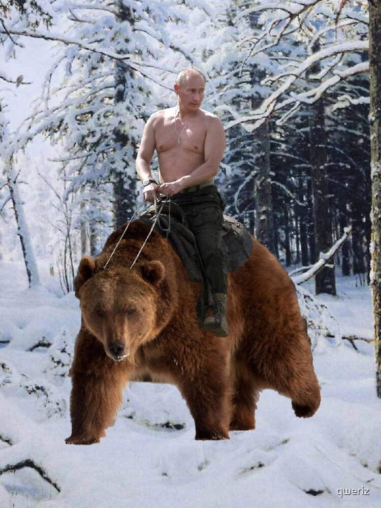 Putin en un oso de qweriz