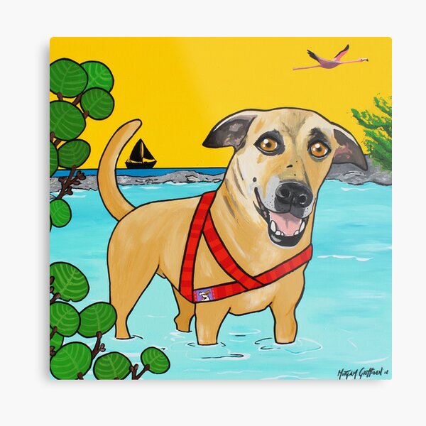Amigo Dog Metal Print