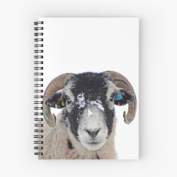 Item preview, Swaledale Ewe in Snow designed and sold by Liz Lane.