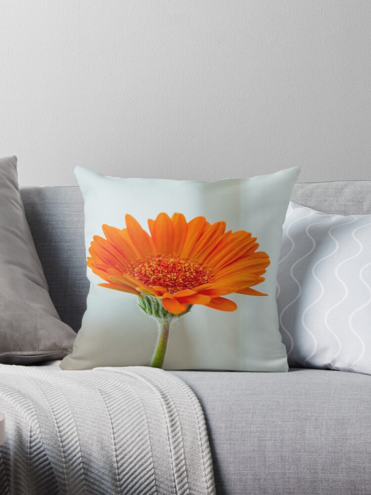 Cojín «Flor de gerbera naranja sobre fondo blanco» de wavemovies | Redbubble