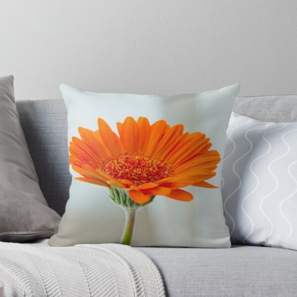 Item preview, Orange gerbera flower on white background designed and sold by Maor Winetrob.