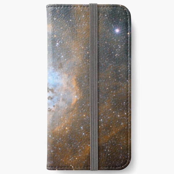 tadpoles nebula iPhone Wallet