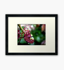 Something ephemeral Framed Print