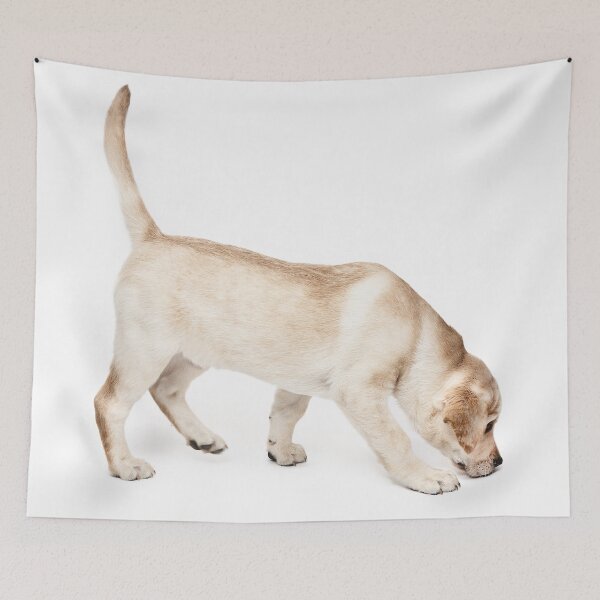 Item preview, Labrador On The Trail designed and sold by ernest123.