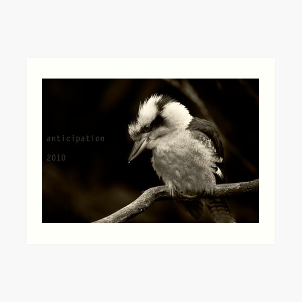 anticipation for 2010 Art Print