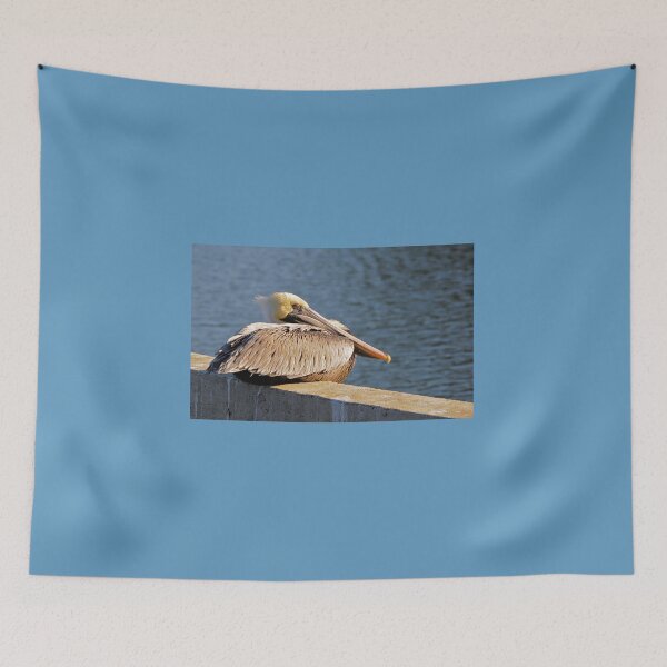 Item preview, Brown Pelican Resting  designed and sold by 2CrabbySisters.