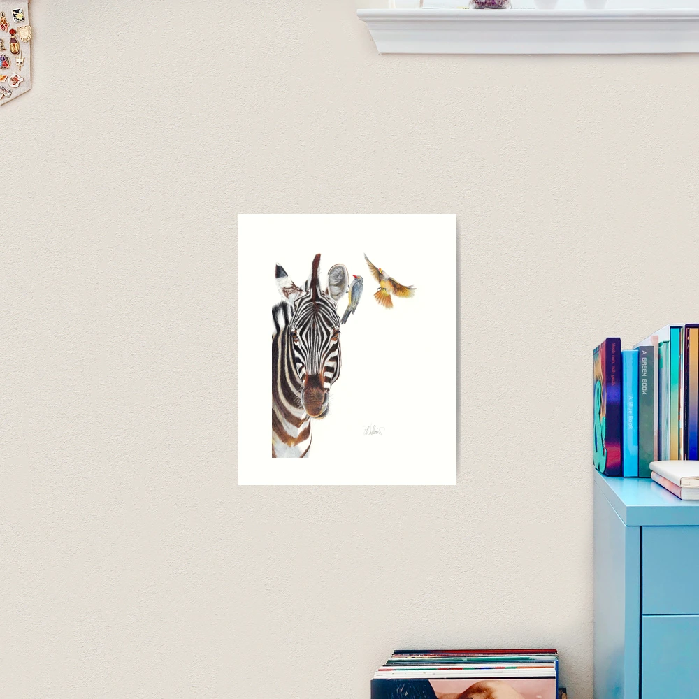 Horse Whisperer - LARGE CANVAS Zebra Print - wildlife - coloured pencil drawing by Peter Williams - ready to popular hang