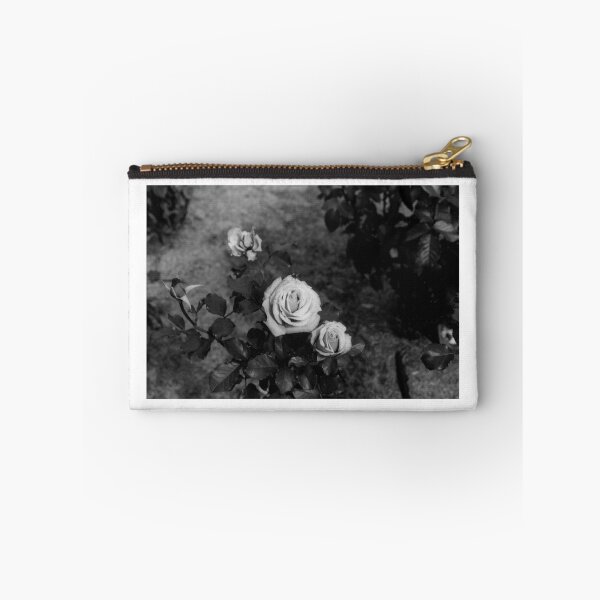 Item preview, St. Cloud, MN: Musinger Gardens 2 designed and sold by ACImaging.