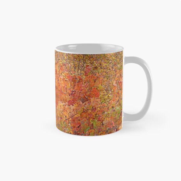 Item preview, Chintz. designed and sold by Paul Pasco.